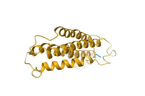 AF-A0A3G1XY81-F1 image