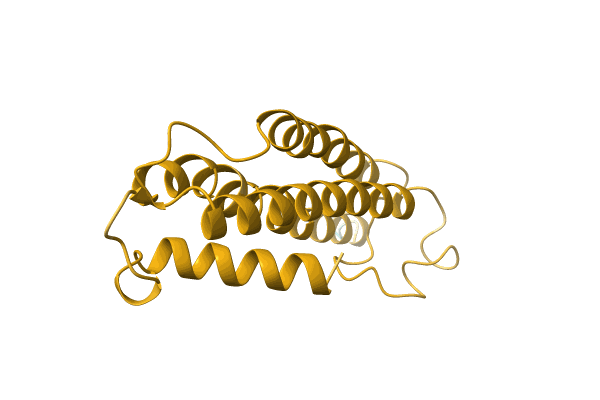 AF-A0A3G1Y283-F1 image