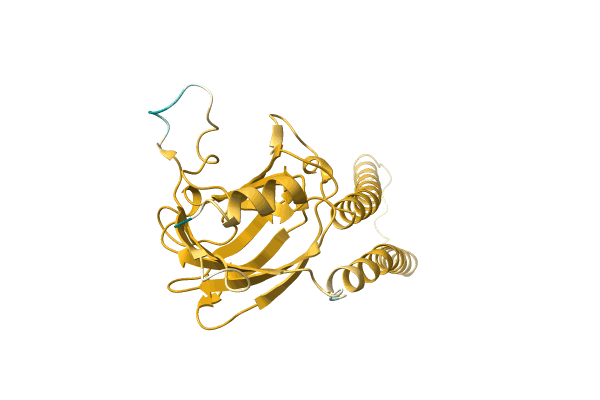 AF-A0A3G2KNF6-F1 image