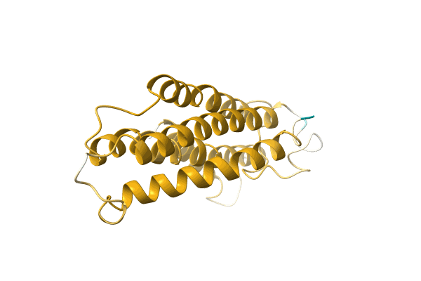 AF-A0A3G3AQ53-F1 image