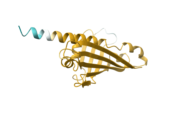 AF-A0A3G5BB24-F1 image