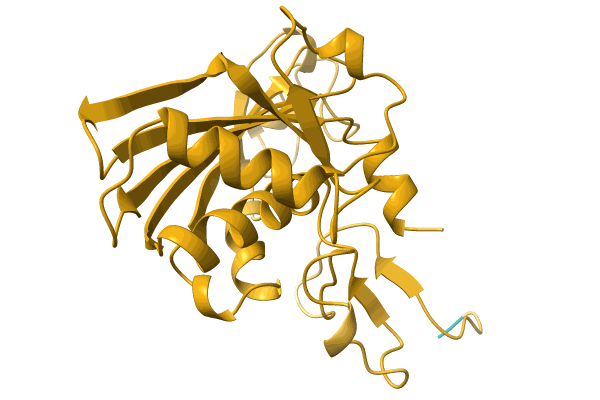 AF-A0A3G7HLK4-F1 image