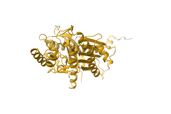 AF-A0A3G9D2X9-F1 image