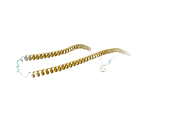 AF-A0A3Q0E4Y5-F1 image