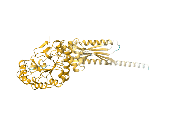 AF-A0A3Q0NBH7-F1 image