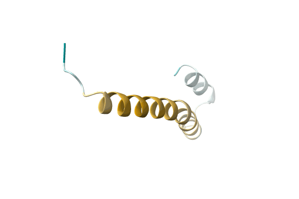 AF-A0A3Q0R0I8-F1 image