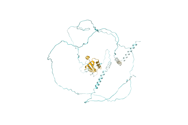 AF-A0A3Q1AMF6-F1 image