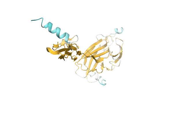 AF-A0A3Q4AED5-F1 image