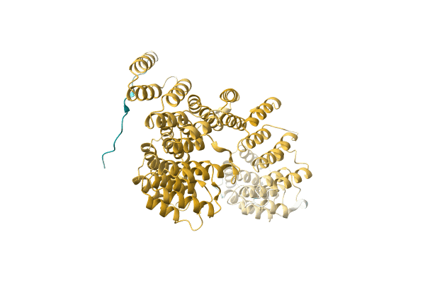 AF-A0A3Q7YCR3-F1 image