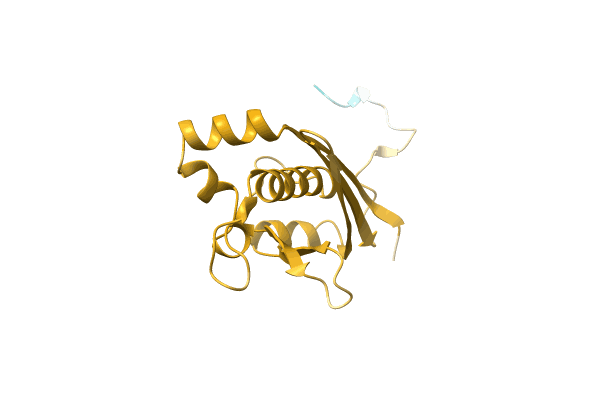 AF-A0A3Q8T118-F1 image