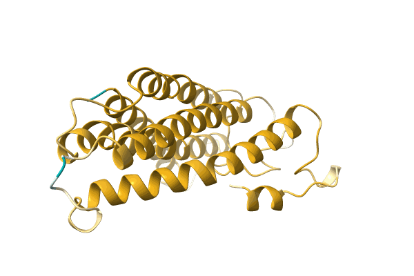 AF-A0A3Q8T6F4-F1 image