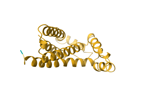 AF-A0A3Q8T6L8-F1 image