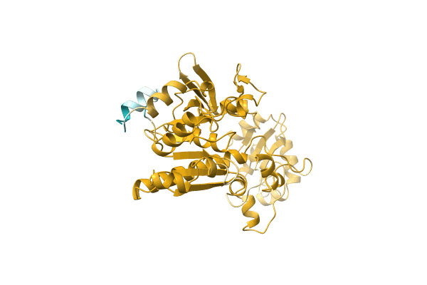 AF-A0A3Q8T7B8-F1 image