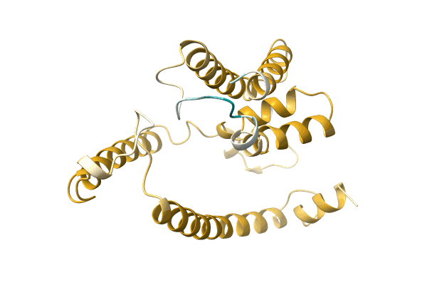 AF-A0A3Q8T7C1-F1 image