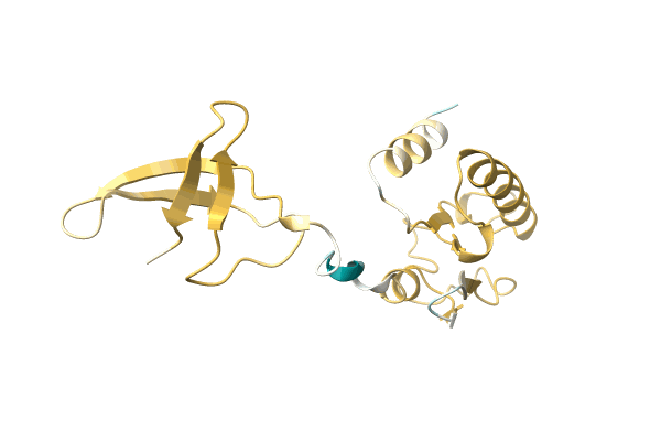 AF-A0A3Q8T9W5-F1 image