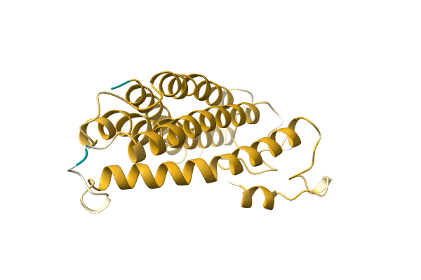 AF-A0A3Q8TA58-F1 image