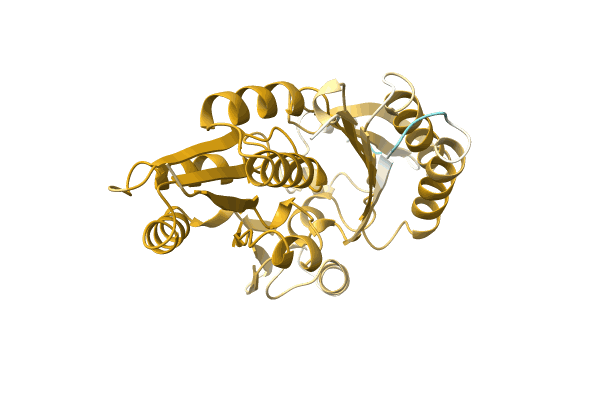 AF-A0A3Q9B9D3-F1 image