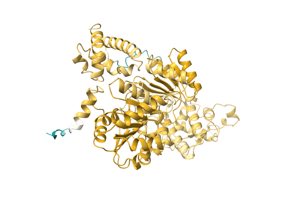 AF-A0A3Q9BP32-F1 image