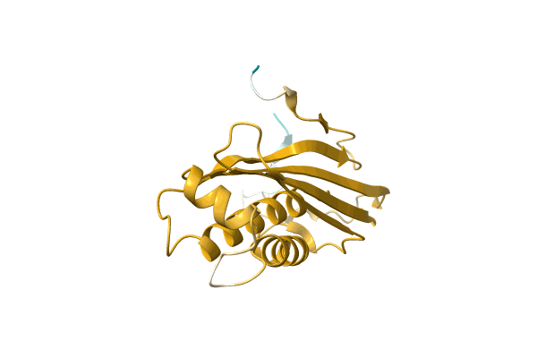 AF-A0A3Q9NH15-F1 image