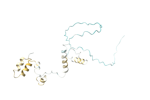 AF-A0A3Q9NH28-F1 image