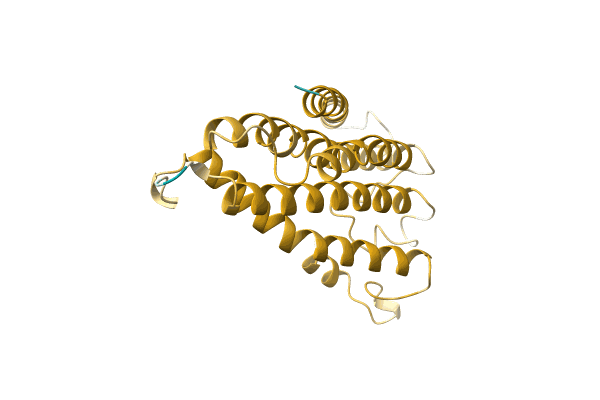 AF-A0A3R5SXQ9-F1 image