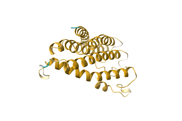 AF-A0A3R5X3D5-F1 image