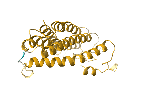 AF-A0A3R5YXK1-F1 image