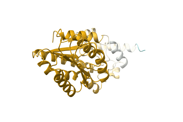 AF-A0A3R9QIM4-F1 image