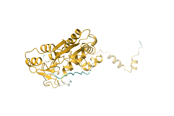 AF-A0A3R9QIN4-F1 image