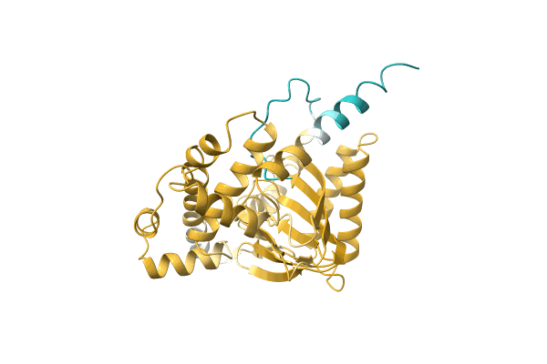 AF-A0A3S4NQG2-F1 image