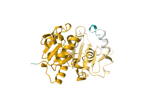 AF-A0A3S4P0Q5-F1 image