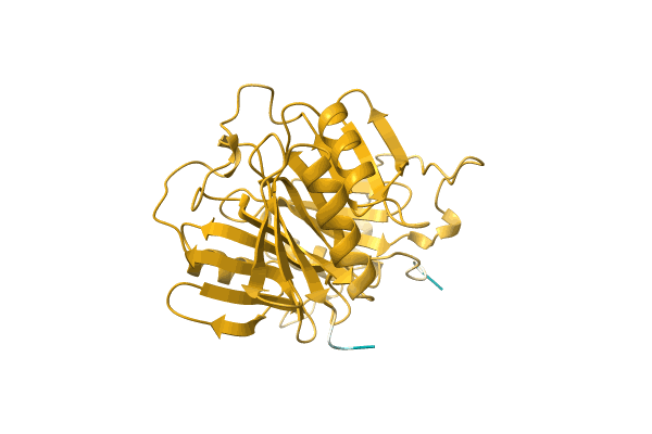 AF-A0A3S4P1N5-F1 image