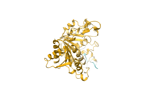 AF-A0A3S4PRH5-F1 image