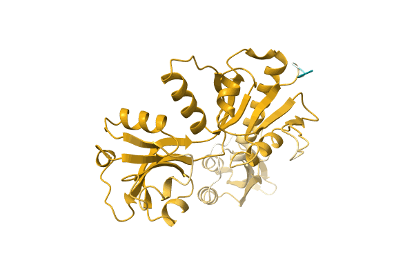 AF-A0A3S4PRT2-F1 image