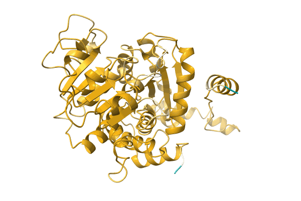 AF-A0A3S4PUP7-F1 image