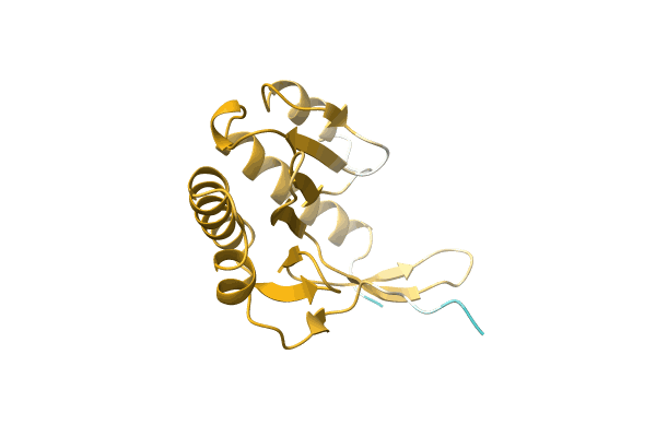 AF-A0A3S4PUZ6-F1 image