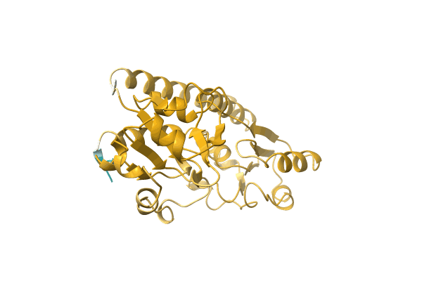 AF-A0A3S4PV83-F1 image