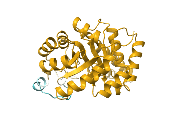 AF-A0A3S4PVC7-F1 image