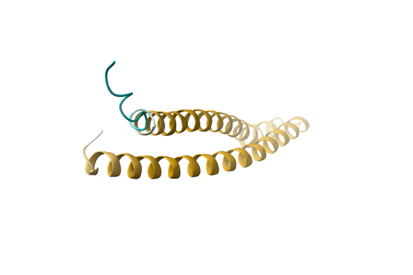 AF-A0A3S4PVG5-F1 image