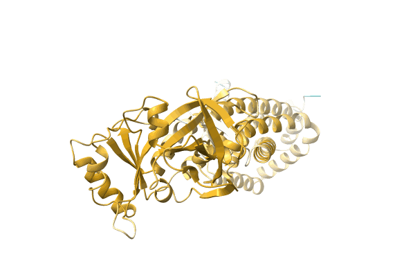 AF-A0A3S5GFS5-F1 image