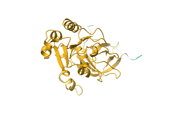 AF-A0A3S5GFW8-F1 image