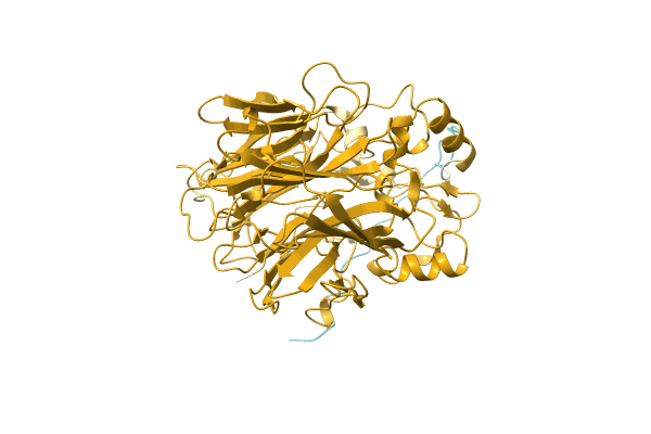 AF-A0A3S5GIE5-F1 image