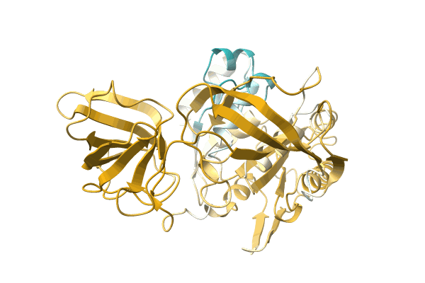 AF-A0A3S5HIE3-F1 image