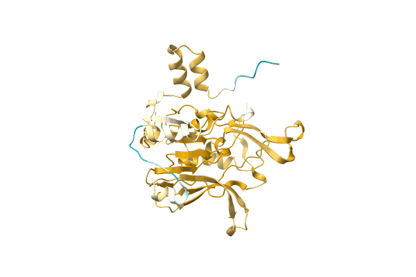 AF-A0A3S5WGR8-F1 image