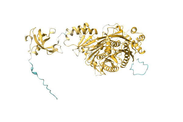 AF-A0A3S5WGU5-F1 image