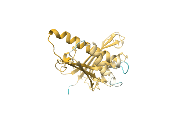 AF-A0A3S5X1E5-F1 image