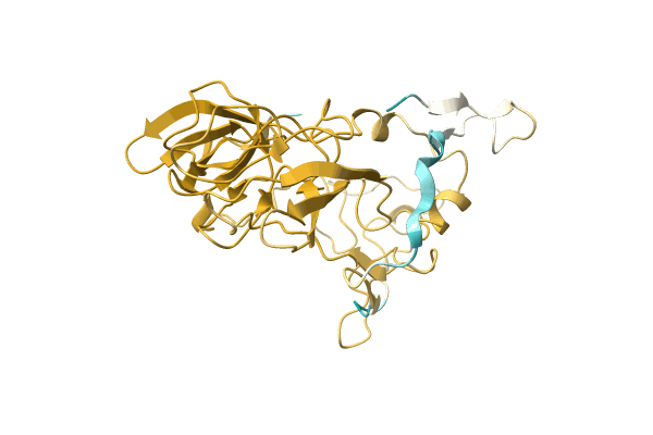 AF-A0A3S5X597-F1 image