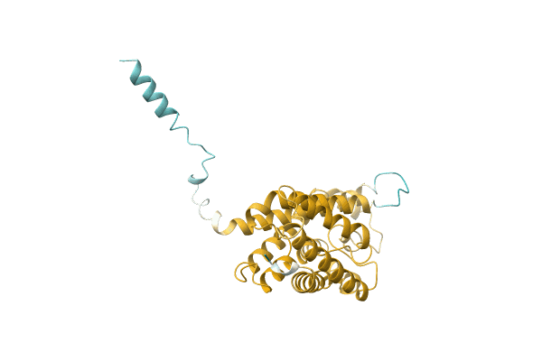 AF-A0A3S5X5L1-F1 image