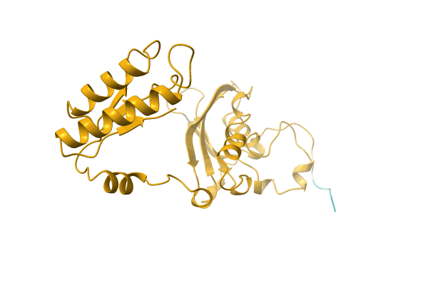 AF-A0A3S5XDC3-F1 image