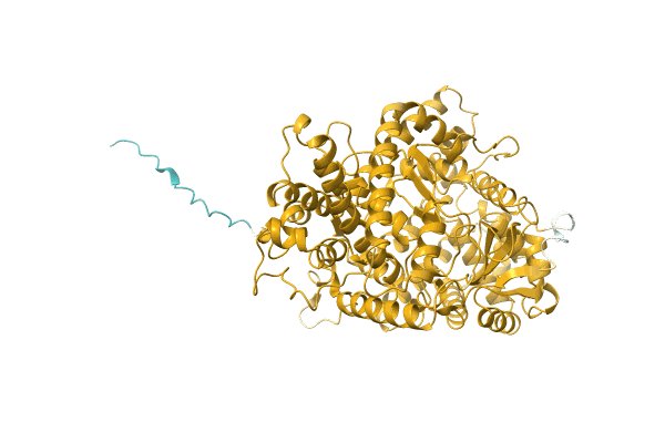 AF-A0A3S5XDV8-F1 image